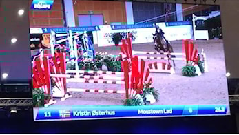 AEG - Arctic Equestrian Games - 25-28.februar 2016